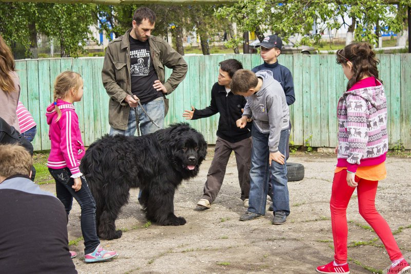 Фотография № 181805