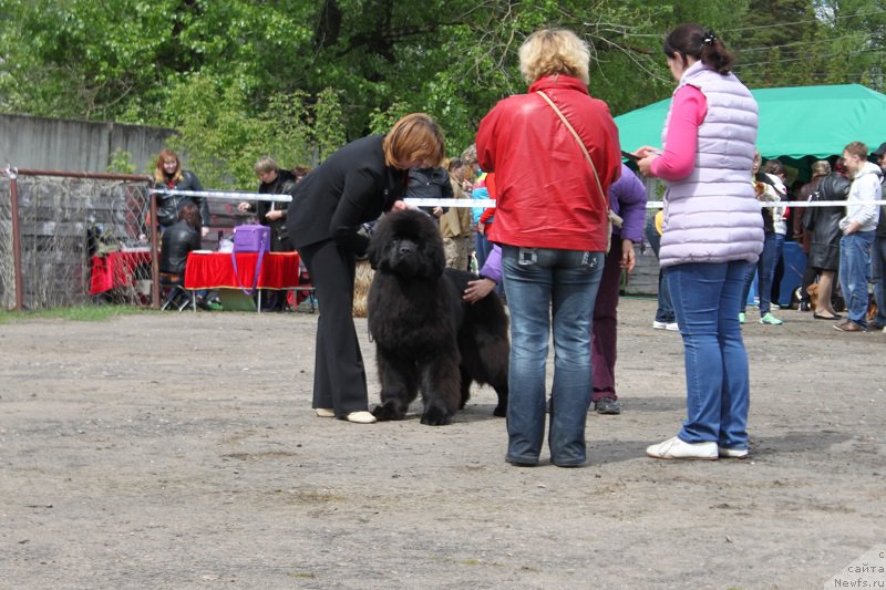 Фотография № 181806