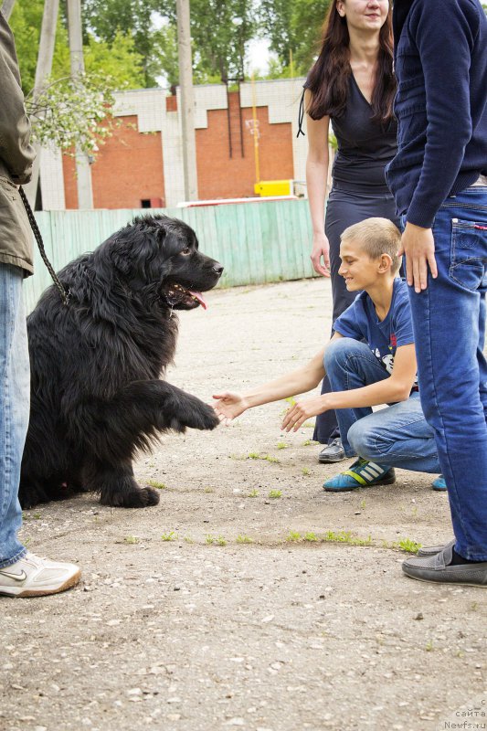 Фотография № 181807