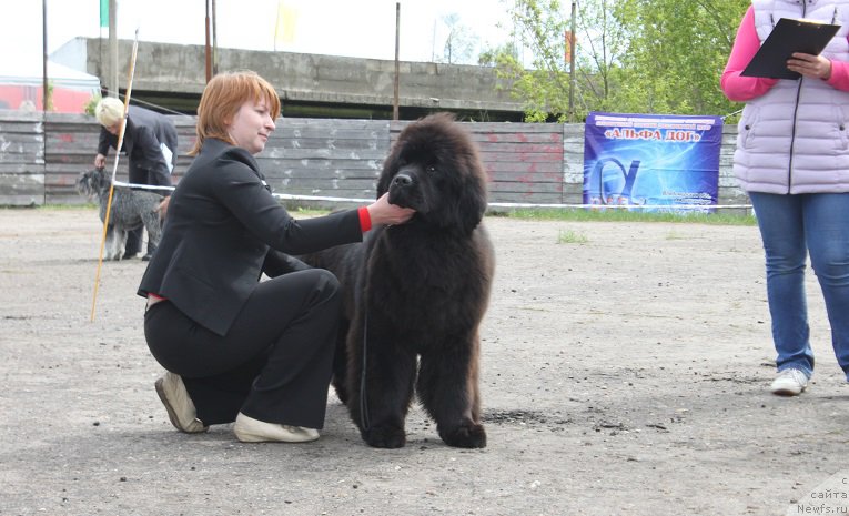 Фотография № 181808