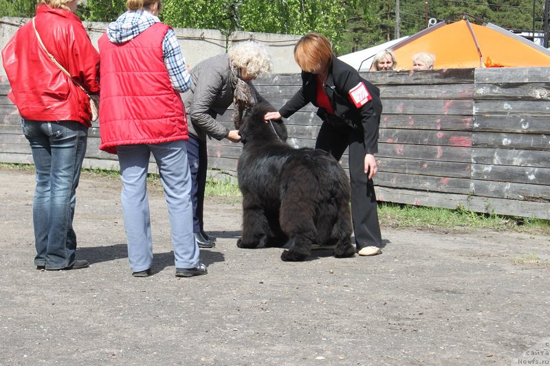 Фотография № 181809