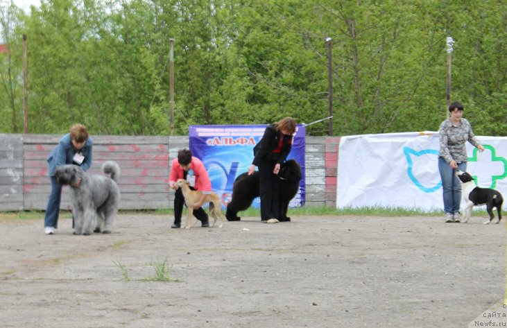 Фотография № 181811