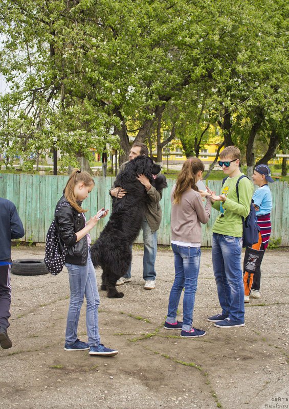 Фотография № 181814