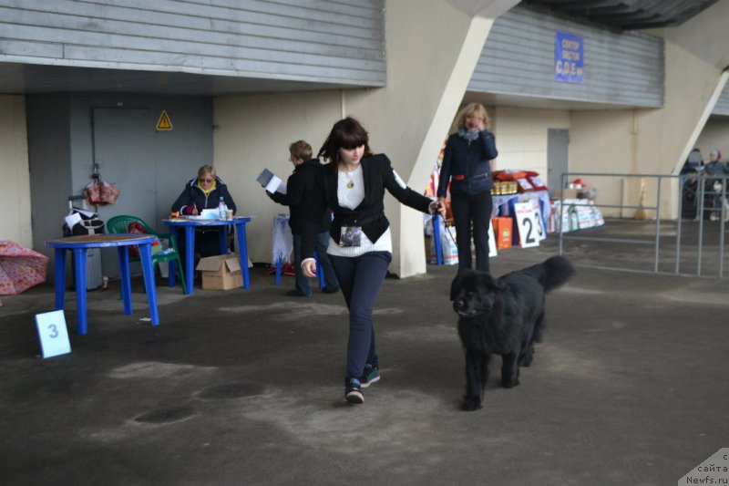 Фотография № 181837