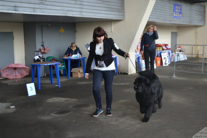 Фотография № 181838