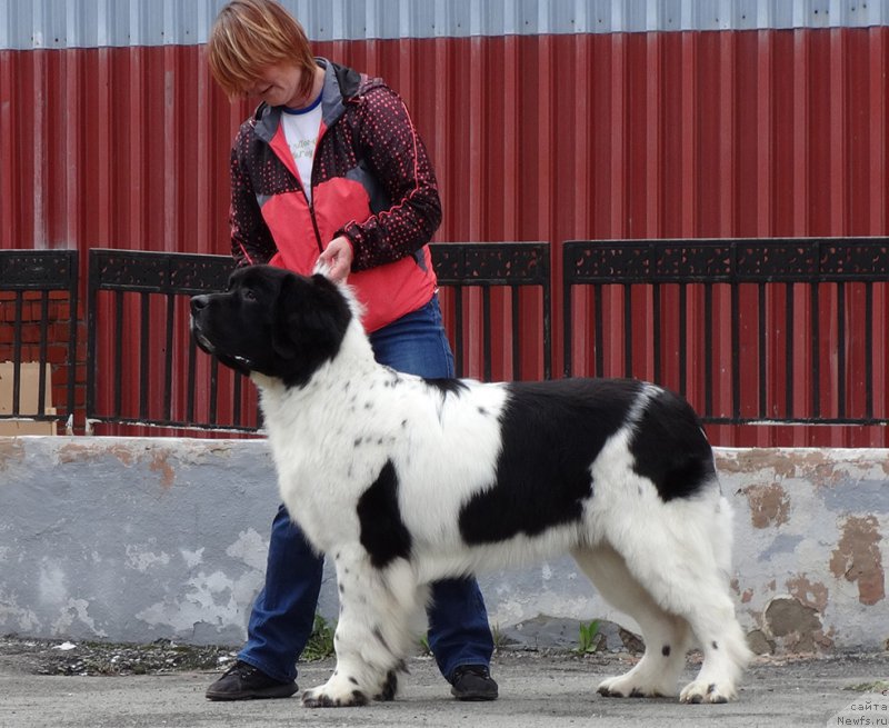 Фотография № 181842