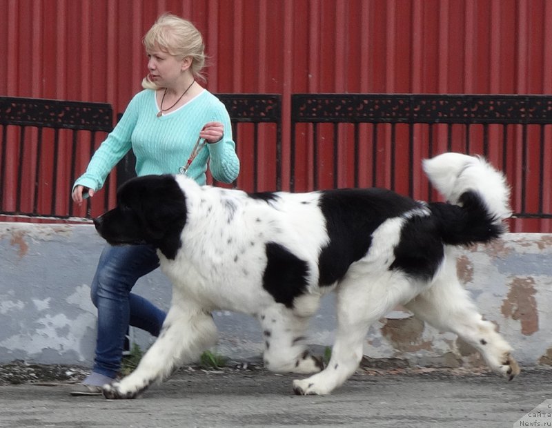 Фотография № 181843