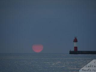 Фотография № 18185