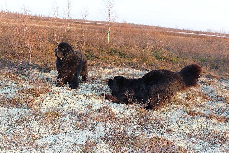 Фотография № 181861