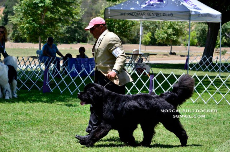 Фотография № 181862