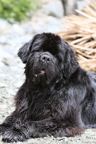 Фотография № 181863