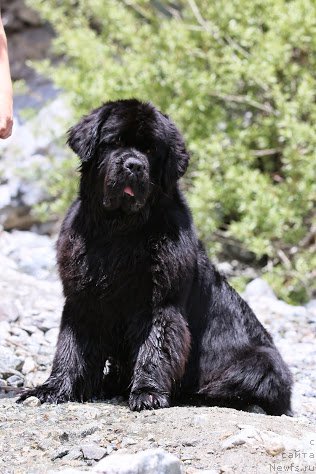 Фотография № 181865