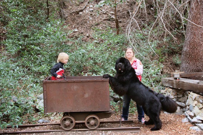 Фотография № 181866