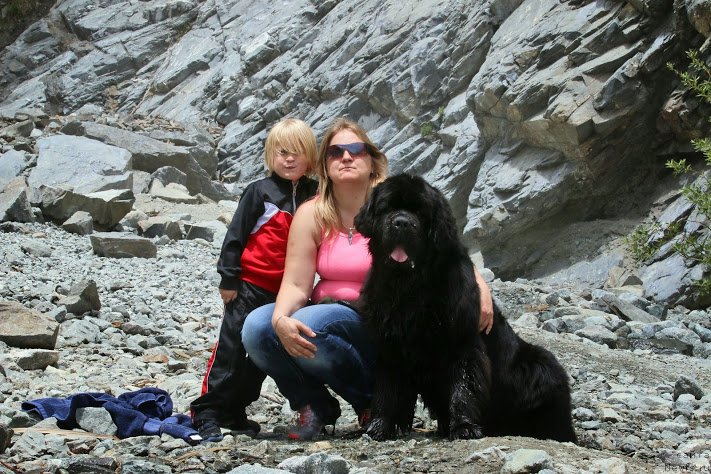 Фотография № 181867