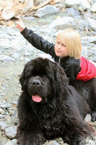 Фотография № 181869