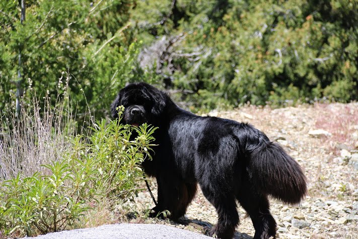 Фотография № 181870