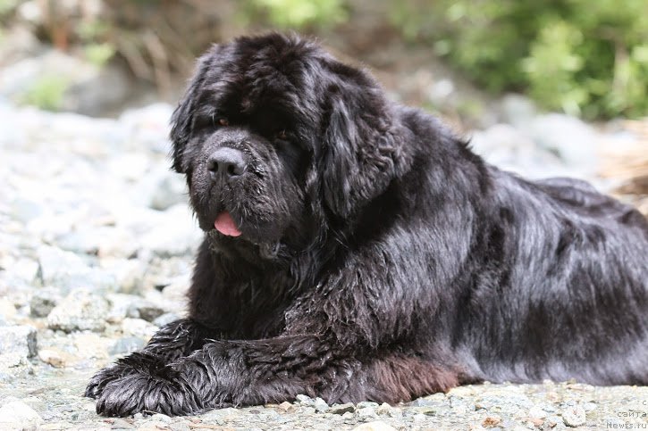 Фотография № 181873