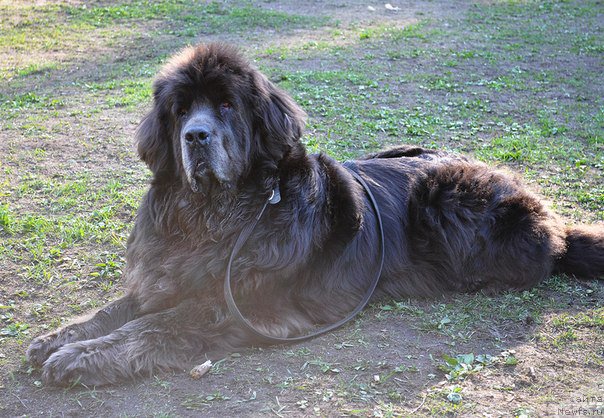 Фотография № 181877