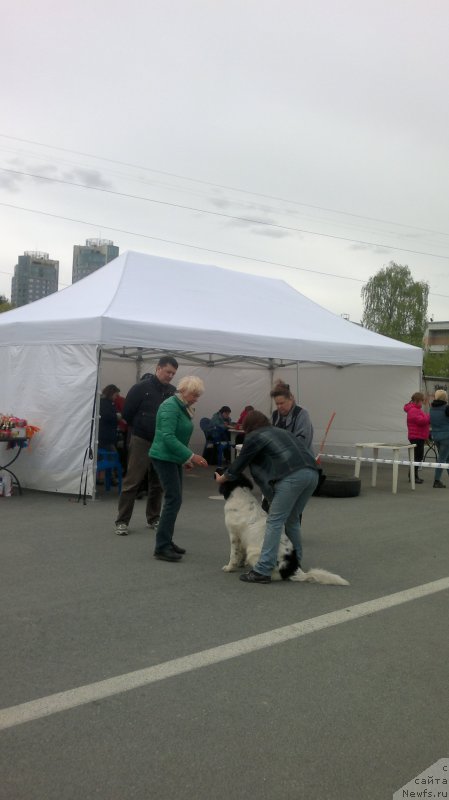 Фотография № 181885