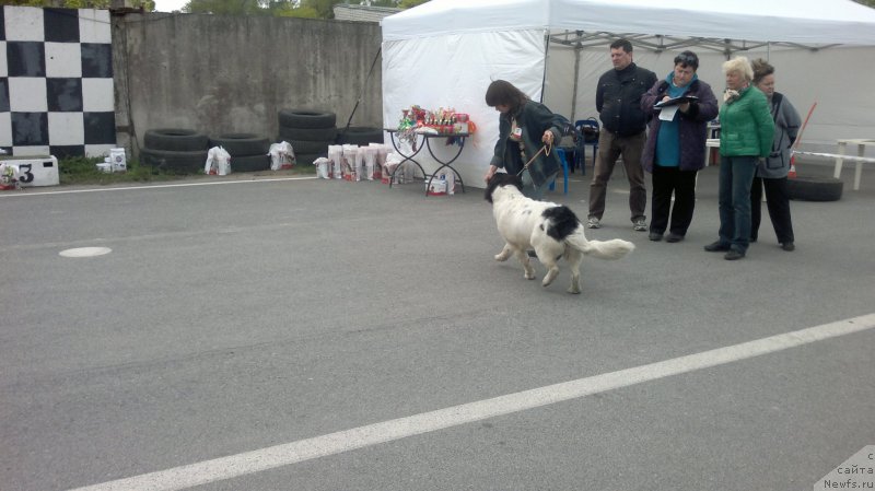 Фотография № 181886