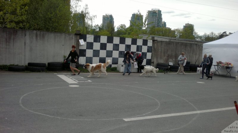 Фотография № 181887