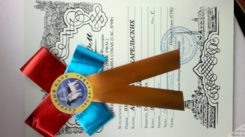 Фотография № 181888