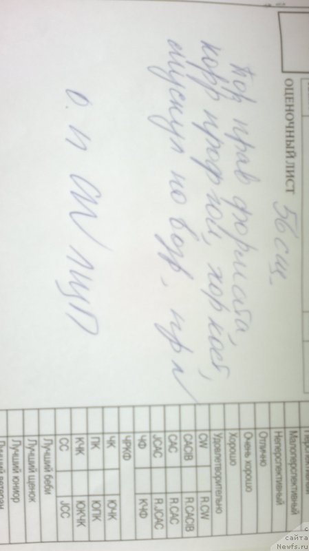 Фотография № 181889