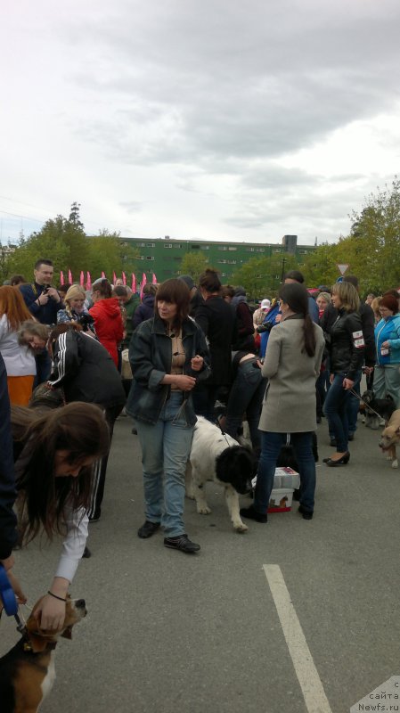 Фотография № 181890