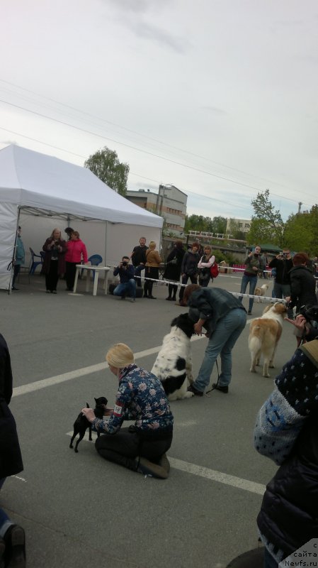 Фотография № 181891