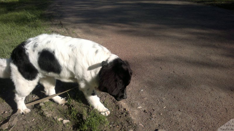 Фото: Ольга Староседых