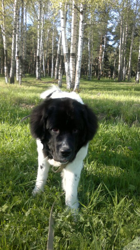 Фотография № 181893