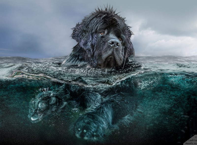 Фотография № 181896