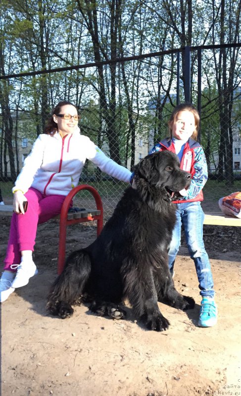 Фотография № 181908