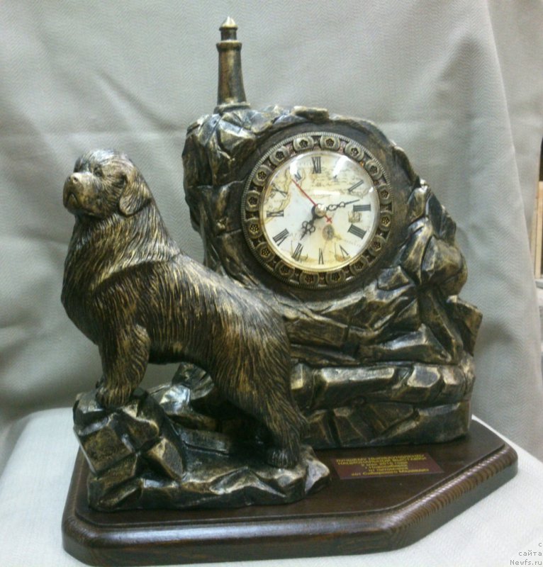 Фотография № 181923