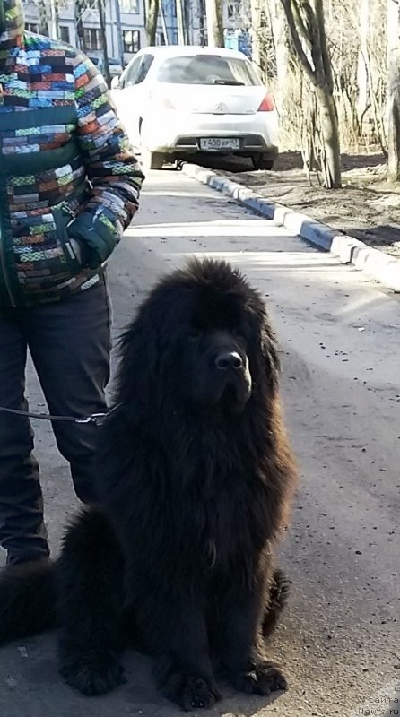 Фотография № 181932