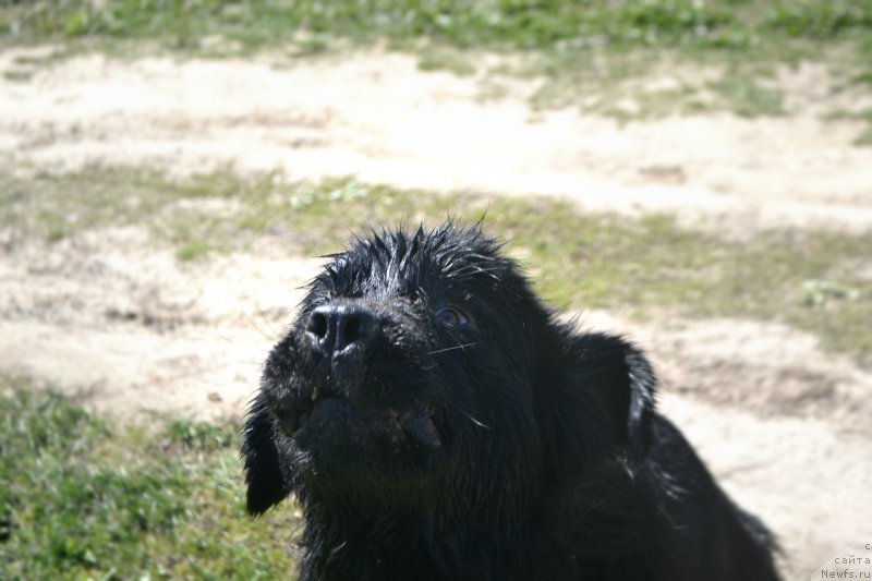 Фотография № 181946