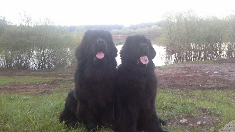 Фотография № 182004