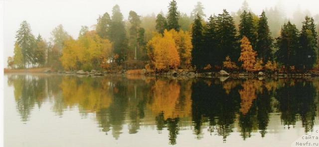 Фотография № 18202