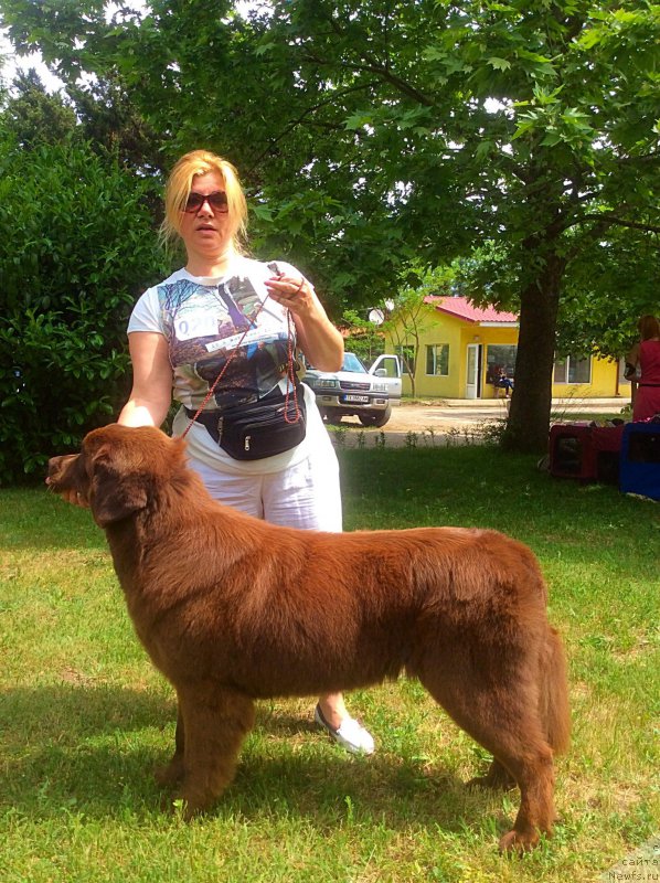 Фотография № 182033