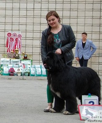 Фотография № 182047