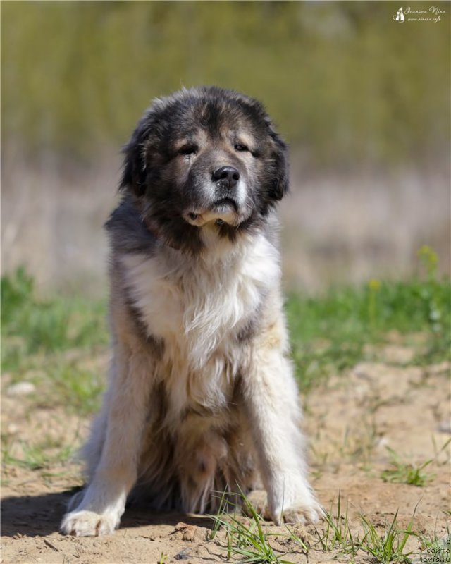 Фотография № 182052