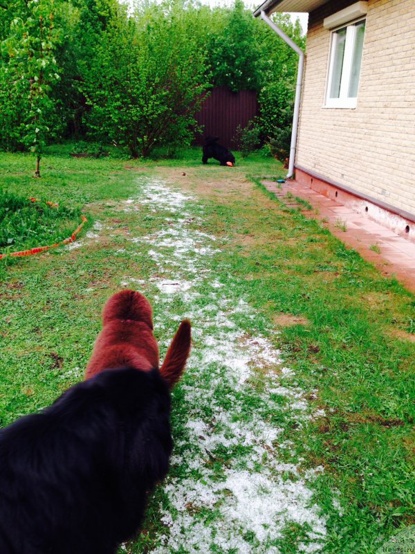 Фотография № 182063