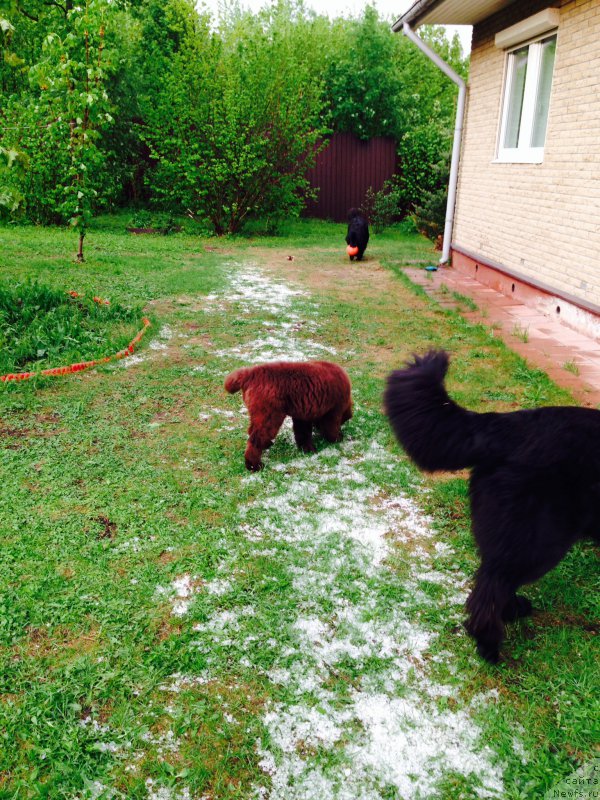 Фотография № 182064