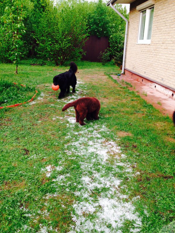 Фотография № 182065