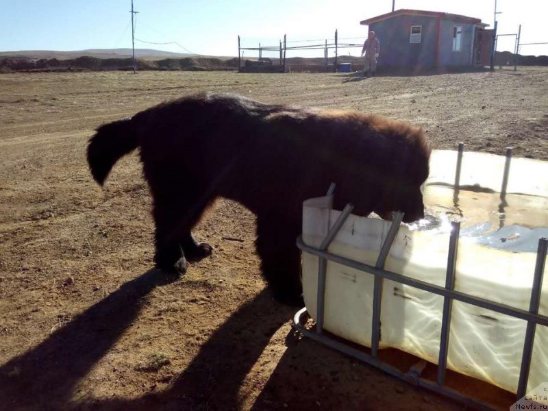 Фотография № 182089