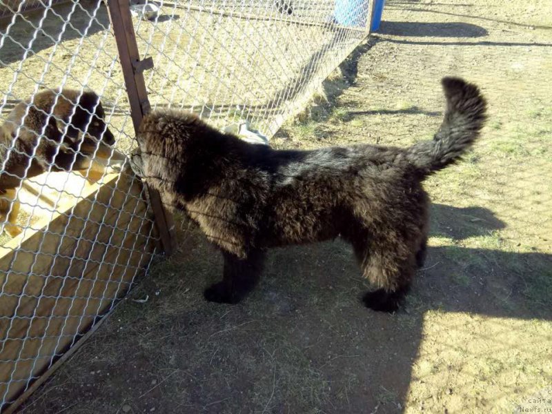 Фотография № 182090