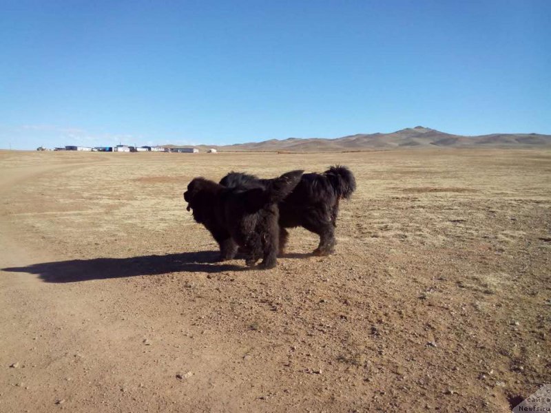 Фотография № 182092