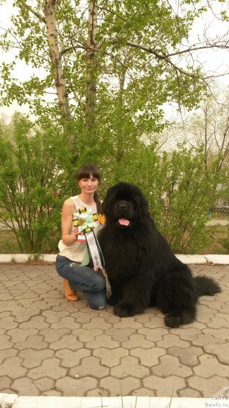 Фотография № 182098