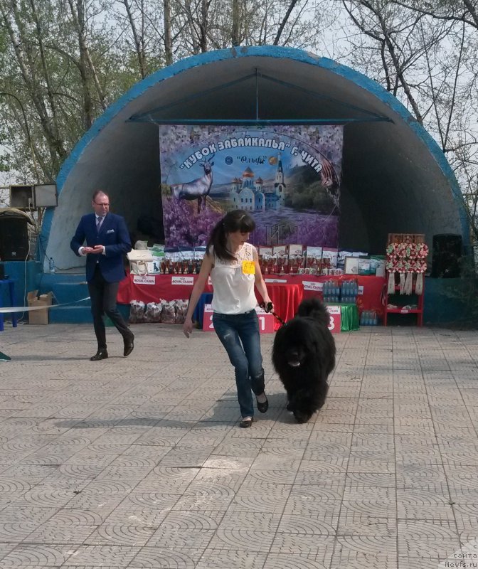 Фотография № 182100