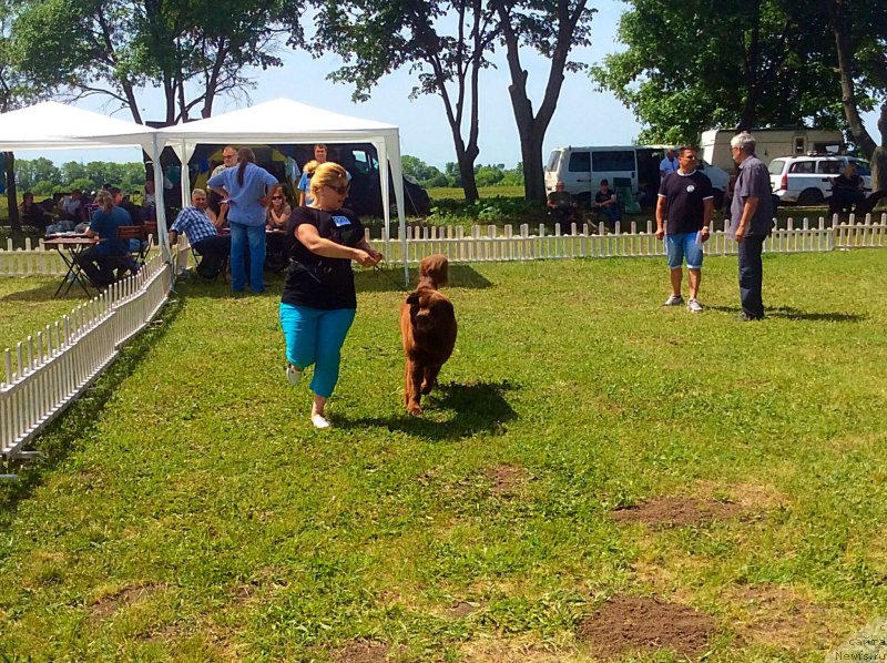 Фотография № 182143